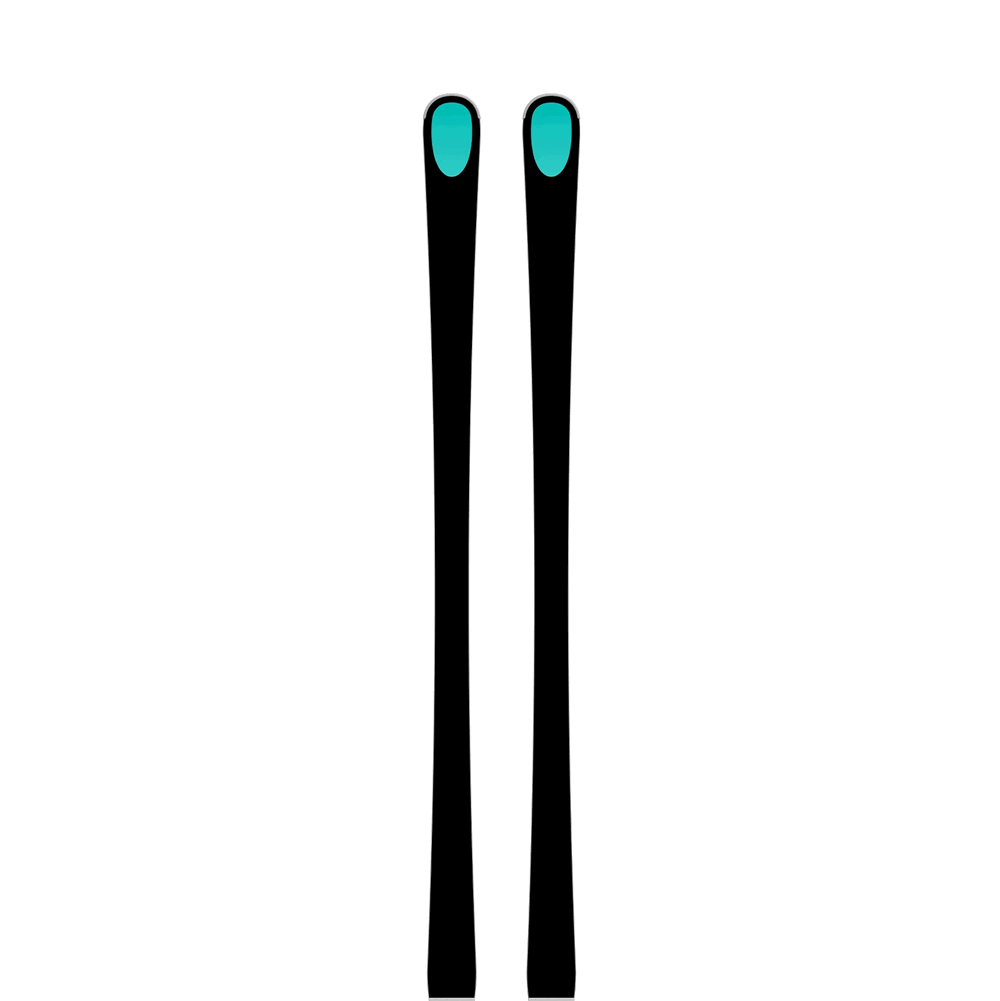 Kästle RX11 Ski