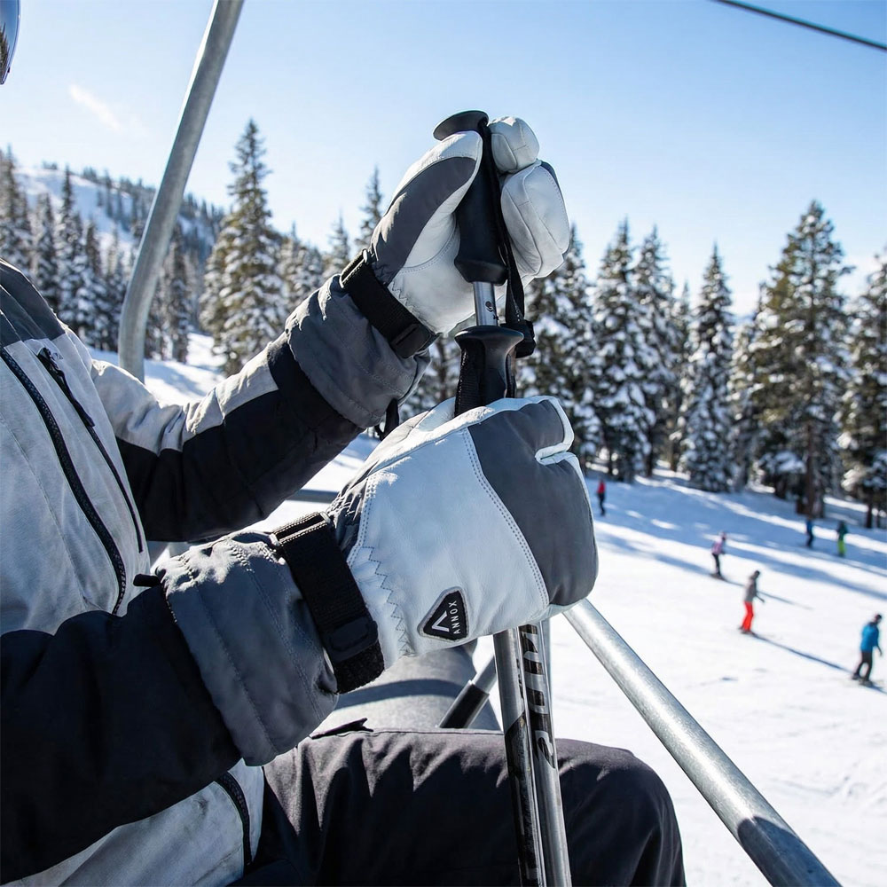 Annox Alpine Skihansker i skinn