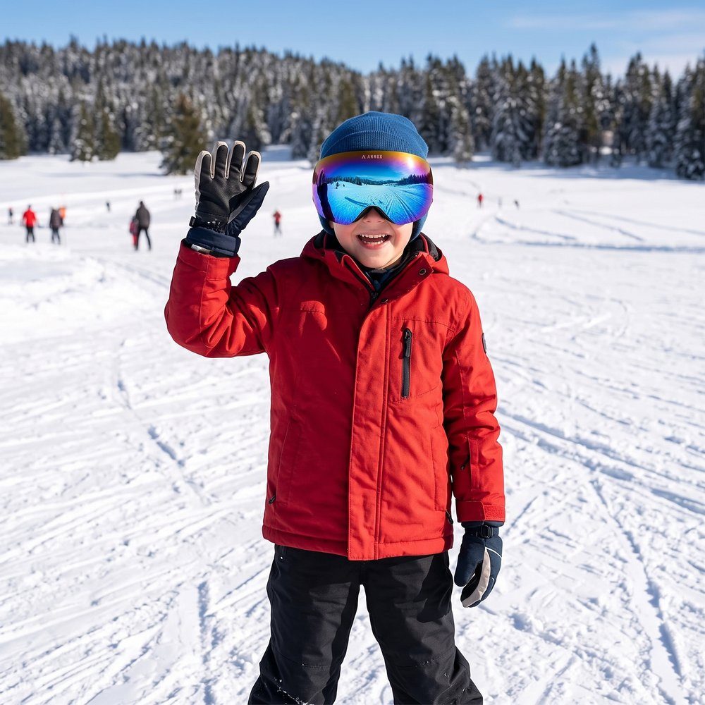 Annox Skyline Ski/Snowboard Briller