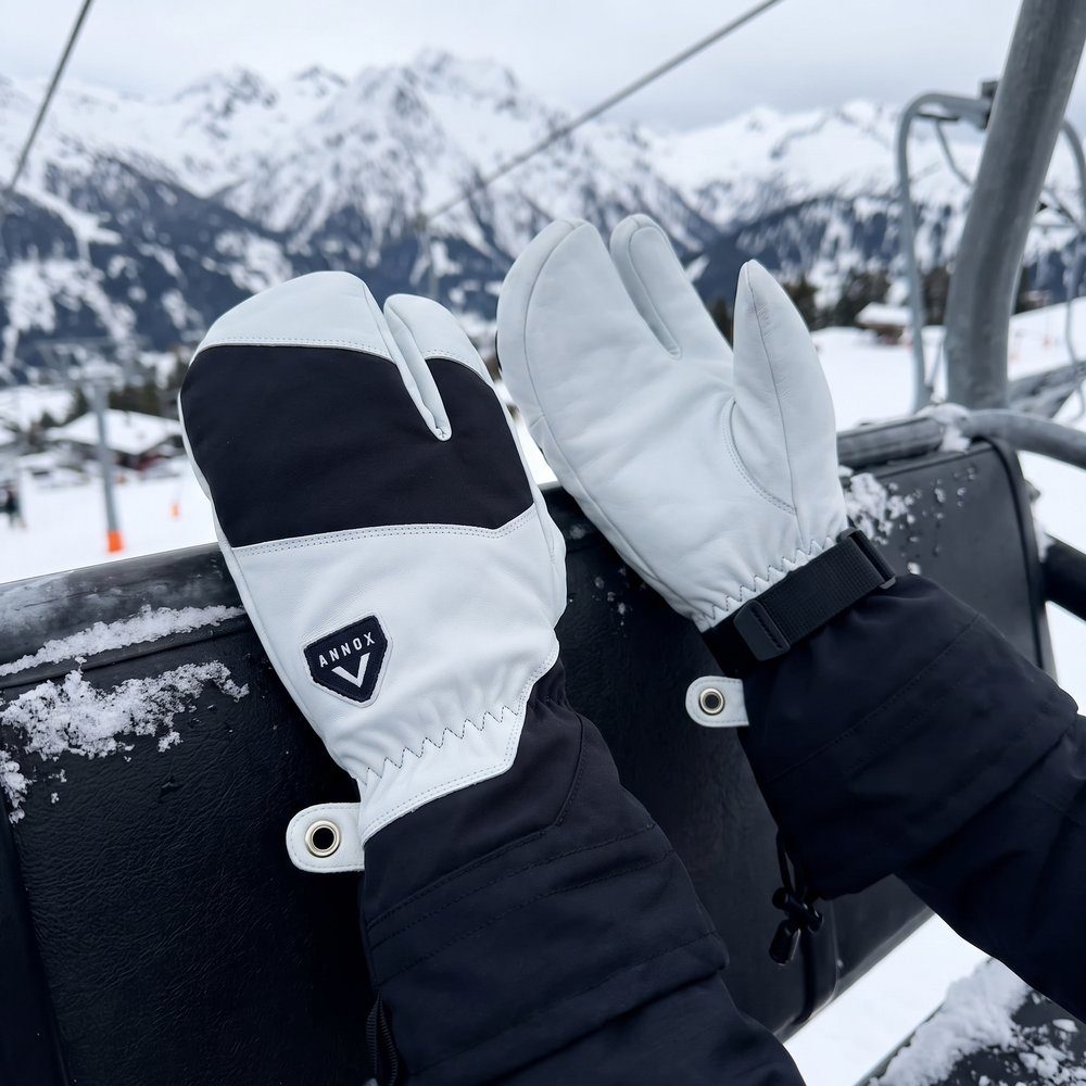 Annox Alpine Skihansker i skinn